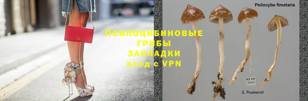 амф Покачи