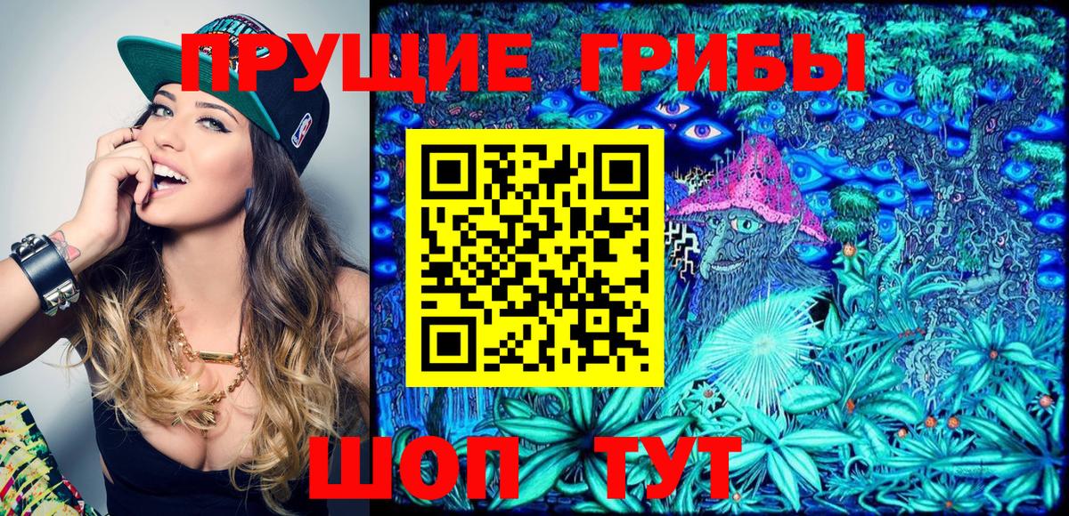 Псилоцибиновые грибы Psilocybine cubensis  Вход с VPN  Отрадное 