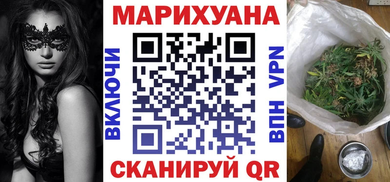 Конопля сатива Отрадное